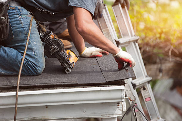 Best Roof Gutter Cleaning  in Ackley, IA
